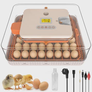 56 Eieren Volledig Automatische Broedmachine met Temperatuur, Verzenden, Nieuw