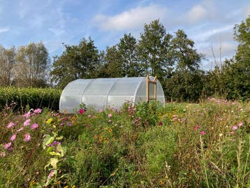 Tunnelkas professioneel, oerdegelijk en stormvast, Tuin en Terras, Kassen, Folie, Nieuw, Staal, Kweekkas