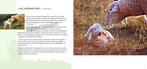 Goede Herder en psalm 23 9789059073784 Sarah Waldmann, Verzenden, Zo goed als nieuw, Sarah Waldmann