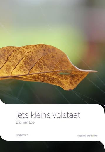 Iets kleins volstaat - Eric van Loo 9789492994240, Verzenden, Zo goed als nieuw, Eric van Loo