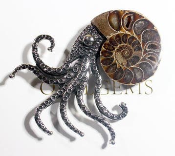 Verzilverd metalen broche met een ammoniet Fossil Lichaam -