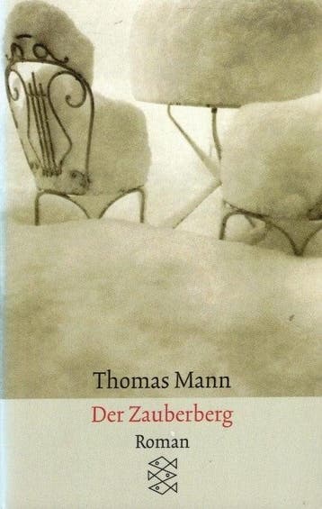 Mann, Thomas-Der Zauberberg, Verzenden, Gelezen