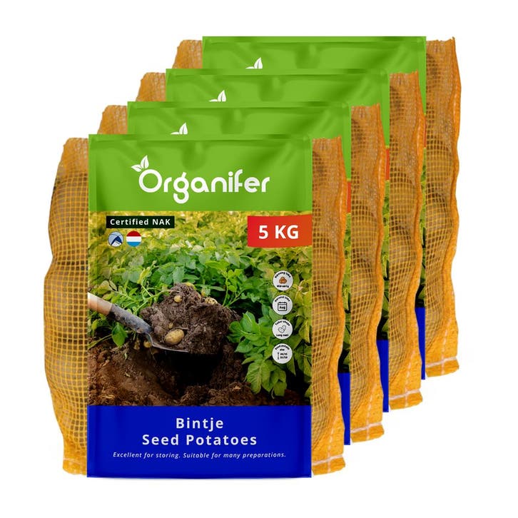 Pootaardappelen Bintje A 28/35 (20 kg), Tuin en Terras, Bloembollen en Zaden, Gehele jaar, Volle zon, Verzenden