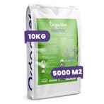 Vlinderbloemen en Bijenmengsel – Nectar – 40 soorten (10 kg, Verzenden, Gehele jaar, Volle zon