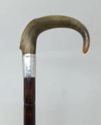 Wandelstok - Natuurlijke hoornhandvat - Hout, Zilver, Hoorn, Antiek en Kunst