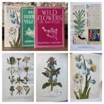 G. M. Taylor - A. M. Coats. - British Herbs, Vegetables,