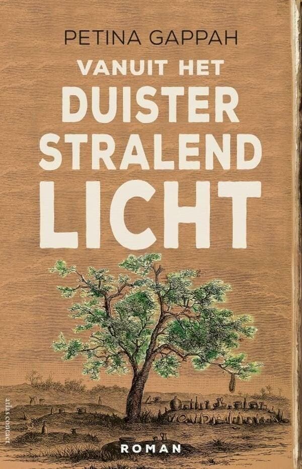 Vanuit het duister stralend licht (9789025453978), Boeken, Romans, Nieuw, Verzenden