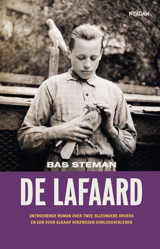 9789046828946 De lafaard | Tweedehands, Boeken, Romans, Zo goed als nieuw, Verzenden