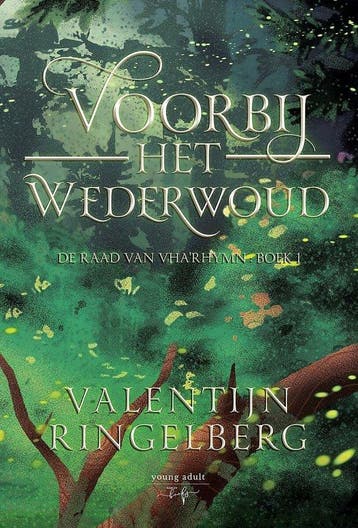 Voorbij het Wederwoud - Valentijn Ringelberg - 9789463967273, Verzenden, Nieuw