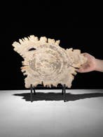 Prachtige sliert versteend hout op een op maat gemaakte