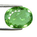 Paraiba toermalijn - 6.92 ct - International Gemological, Nieuw