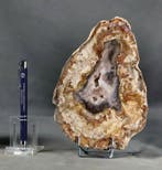 Mooi en decoratief versteend hout op standaard - Gepolijst