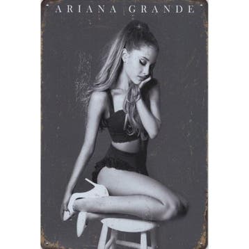Wandbord - Ariana Grande, Ophalen of Verzenden, Nieuw, Poster, Artwork of Schilderij