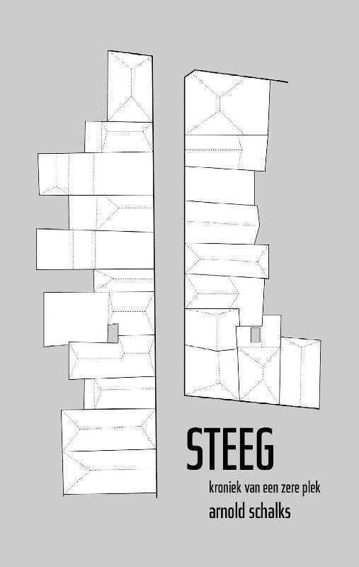 Steeg | Arnold Schalks | Nieuw, Boeken, Historische romans, Nieuw, Ophalen of Verzenden