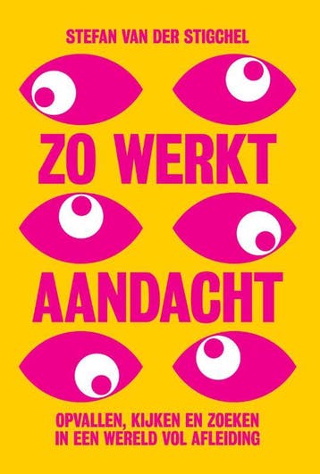 Zo Werkt Aandacht | Stefan Stigchel | Nieuw, Ophalen of Verzenden, Nieuw, Stefan Stigchel