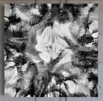 Ben Dauchez - An after noon at Majorelle #1