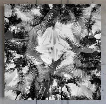 Ben Dauchez - An after noon at Majorelle #1
