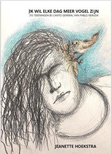 Ik wil elke dag meer vogel zijn - boek - kunst - tekening, Verzenden, Gelezen, Jeanette Hoekstra