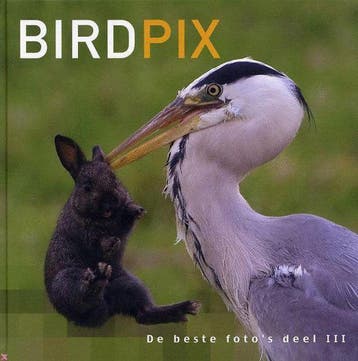 Birdpix 9789077204481 D. Schoonhoven, Boeken, Verzenden, Zo goed als nieuw, D. Schoonhoven