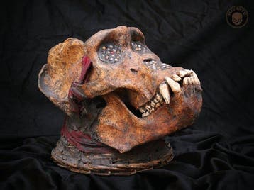 Ngil of gorilla-schedel (Fang) Schedel - OJEARTE - 24 cm -