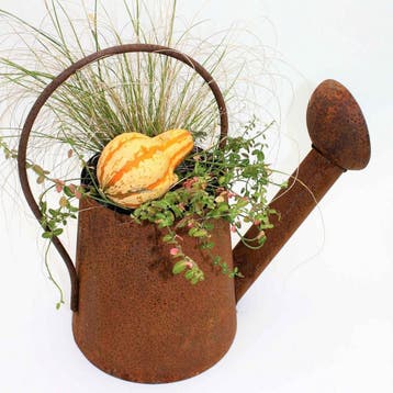 Decoratieve gieter in patina | 3D roestdecoratie voor, Verzenden, Nieuw