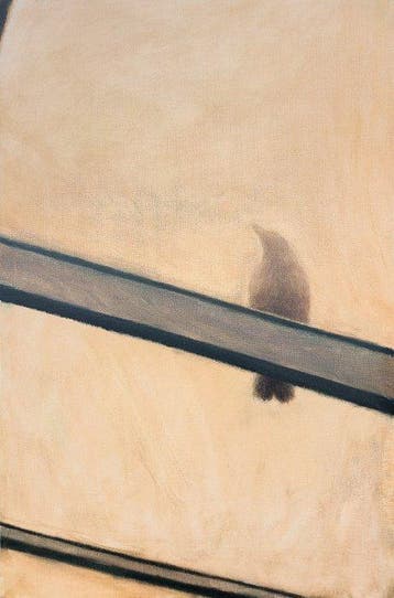 Eliza Koodziej - Birds Silhouette Behind Metal Bars