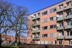 Te Huur 3 Kamer Appartement Ligusterstraat In Nijmegen, Huizen en Kamers, Huizen te huur, Gelderland, Direct bij eigenaar, Nijmegen