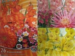 Veiling - 3 kleurig mix zomerbloeiers Geel Oranje &  Roze 73, Tuin en Terras, Bloembollen en Zaden