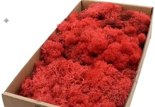Rendiermos IJslandsmos Finlandsmos Rood 500 gram, Huis en Inrichting, Woonaccessoires | Kunstplanten en Kunstbloemen, Nieuw, Ophalen of Verzenden