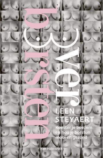 Over borsten - Leen Steyaert 9789463832151, Boeken, Verzenden, Zo goed als nieuw, Leen Steyaert