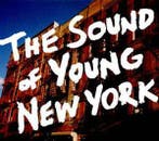 cd - Various - The Sound Of Young New York, Verzenden, Zo goed als nieuw