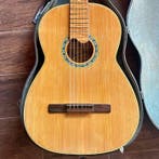 Maruha - No. 36 - - Akoestische gitaar - Japan - 1949, Nieuw