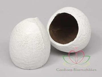 Coconut Top-cut Kokosnoot Wit 5 stuks 480 gram, Ophalen of Verzenden, Nieuw
