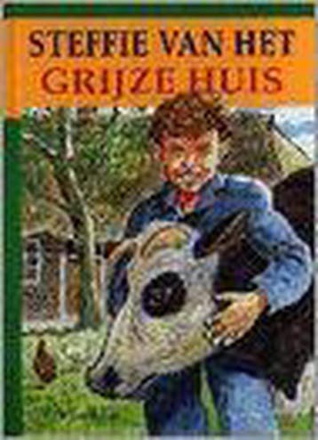 Steffie van het grijze huis - B.J. van Wijk 9789033625916, Verzenden, Gelezen, B.J. van Wijk