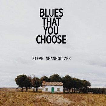 cd - Steve Shanholtzer - Blues That You Choose, Cd's en Dvd's, Verzenden, Nieuw in verpakking