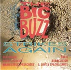 cd - Various - The Big Buzz Strikes Again, Cd's en Dvd's, Cd's | Rock, Verzenden, Zo goed als nieuw
