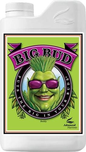 Advanced Nutrients BIG BUD 250ml, Verzenden, Nieuw