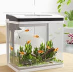 Aquarium starterkit – Compact glas aquarium met verlichting, Verzenden, Nieuw