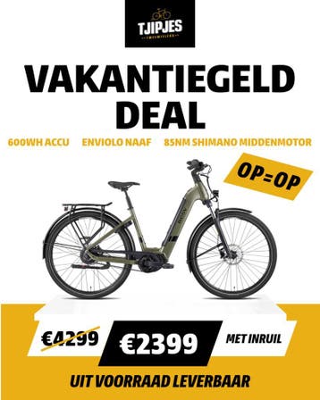 Aanbieding | BESV E-bikes Direct Leverbaar, Fietsen en Brommers, Elektrische fietsen, Overige merken, Nieuw, Ophalen of Verzenden