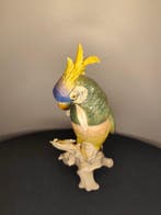 Karl Ens, Volkstedt - Figuur - Perroquet à huppe - Porselein