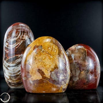 Prachtige set van versteend hout – Vrije vormen- 2075.46 g -