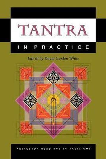 Tantra in Practice - David Gordon White 9780691057798, Verzenden, Gelezen, David Gordon White