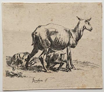 Nicolaes Pietersz Berchem (1620–1683) - Pecora con agnello