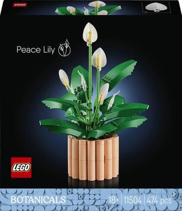 Verpakking beschadigd LEGO Botanicals Lepelplant - Bloemen D, Kinderen en Baby's, Verzenden, Nieuw