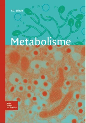 Metabolisme - Frans Schuit 9789031382248, Boeken, Verzenden, Zo goed als nieuw, Frans Schuit