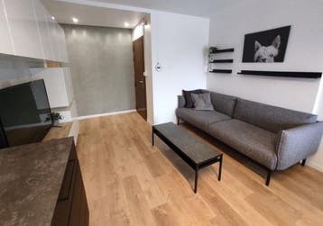 Te Huur Studio Van Zeggelenlaan In Den Haag, 35 tot 50 m², Den Haag