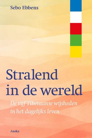 Stralend in de wereld - Sebo Ebbens 9789056704483, Boeken, Verzenden, Zo goed als nieuw, Sebo Ebbens