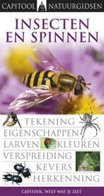 Insecten en spinnen / Capitool Natuurgidsen 9789047510024, Verzenden, Gelezen, George C. MacGavin