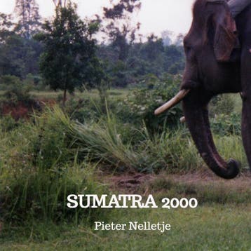 SUMATRA 2000 - Pieter Nelletje 9789403702025, Verzenden, Gelezen, Pieter Nelletje