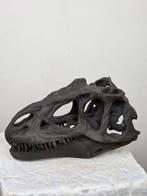 Allosaurus-schedel replica – Gedetailleerd